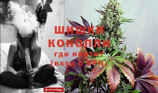 стафф Пестово
