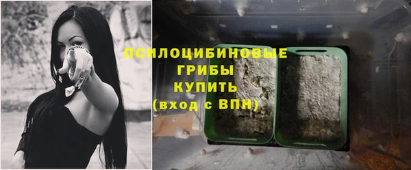 соль курить ск Пересвет