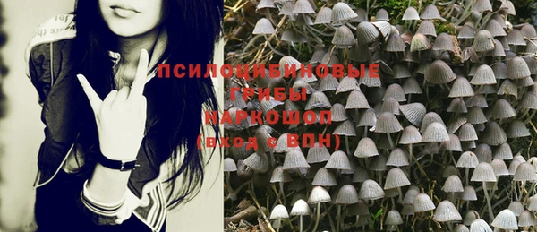 соль курить ск Пересвет