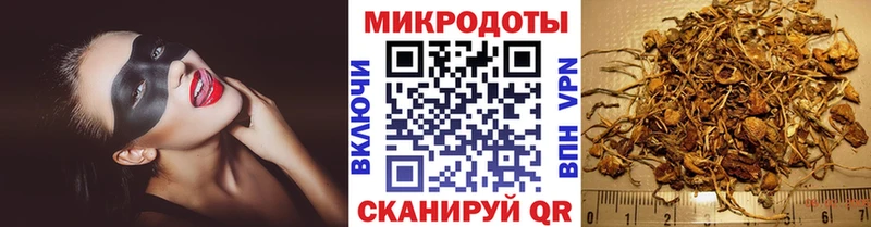 купить наркоту  гидра ссылка  Псилоцибиновые грибы мицелий  Купино 